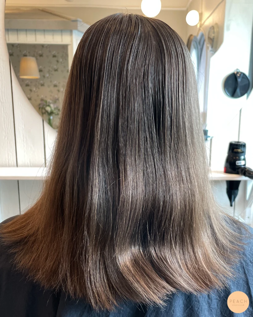 🤍Highlights on brown hair🤎