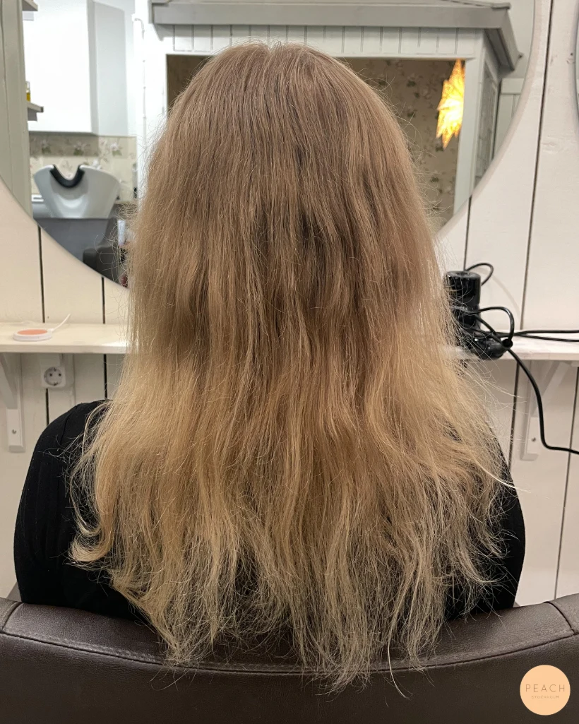 Cool and Creamy blonde hair