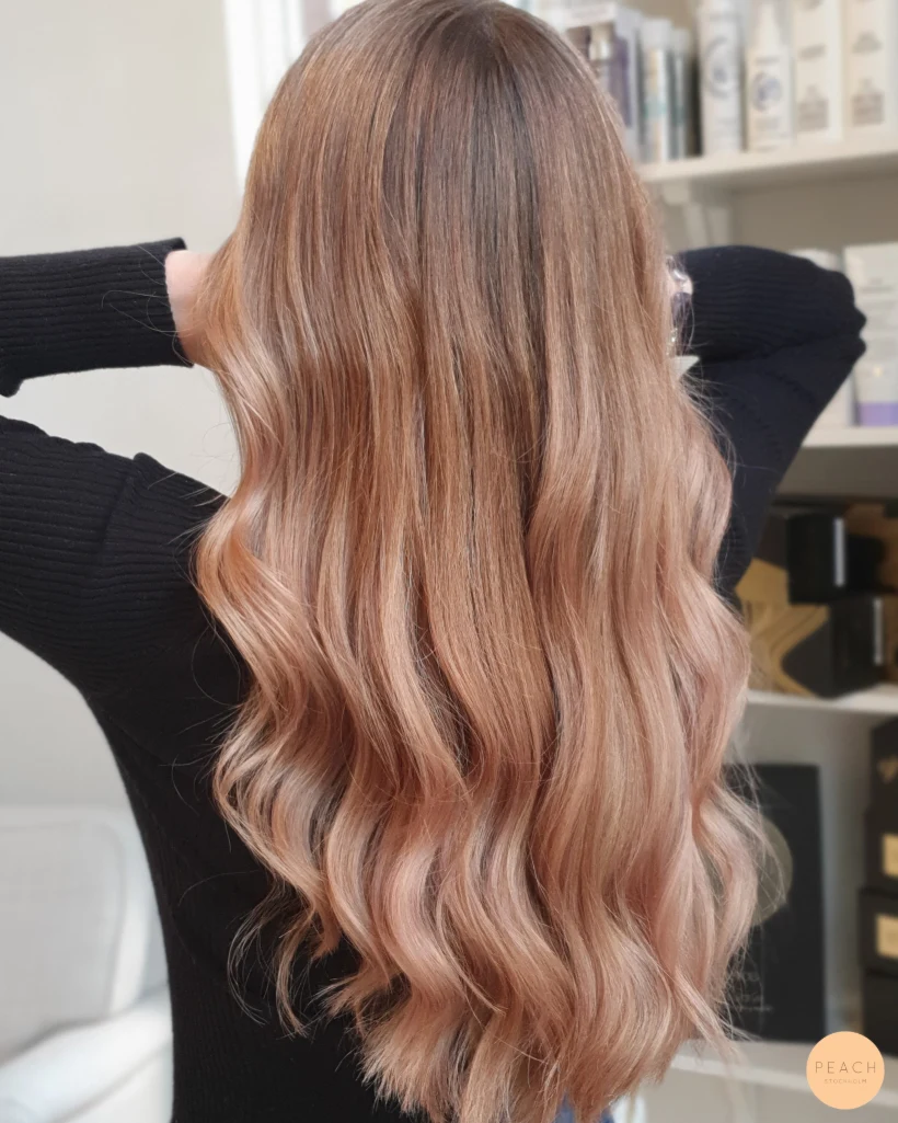 Powder rose