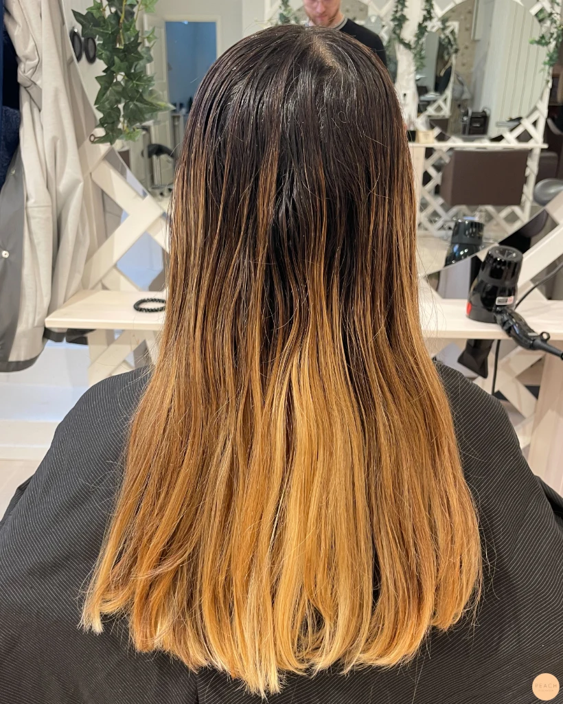 Honungs Balayage