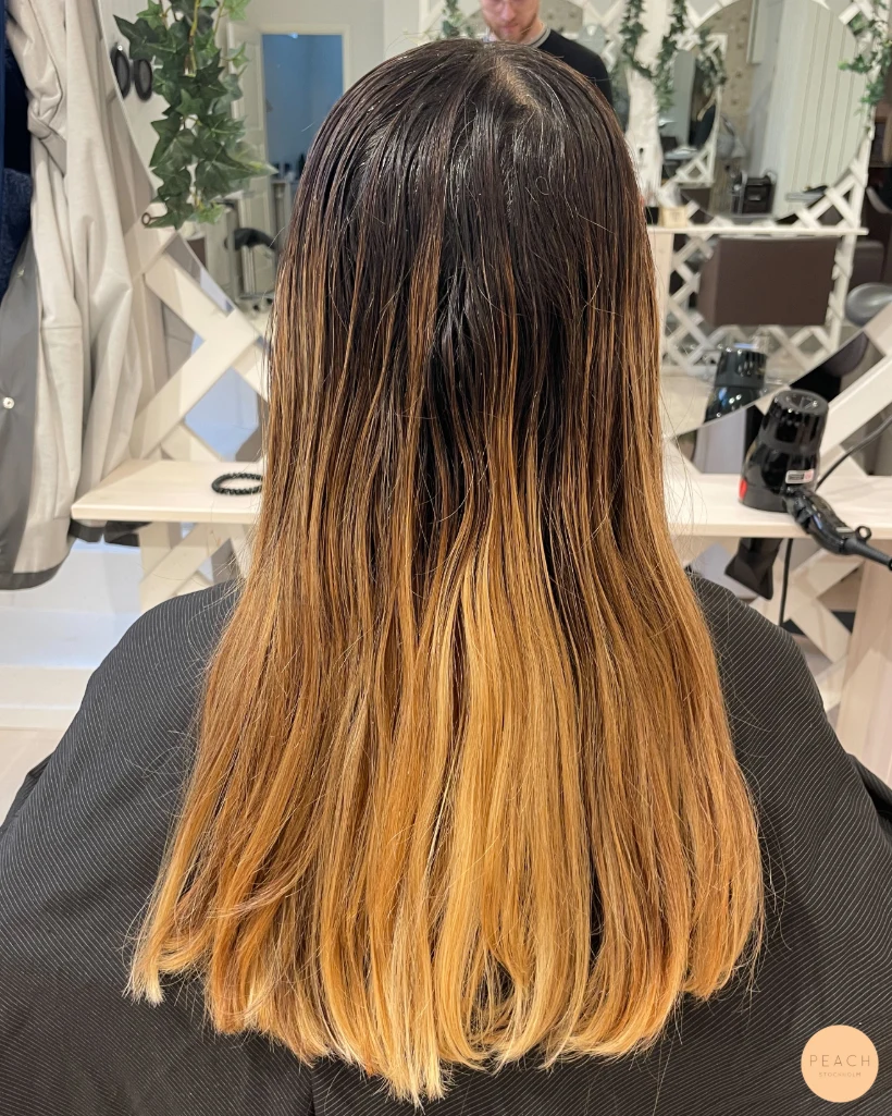 Honungs Balayage