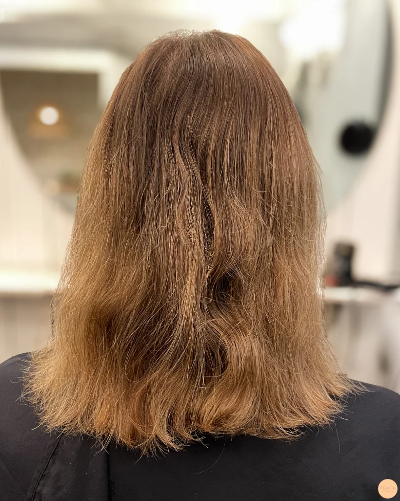 Teddy bear bronde hair