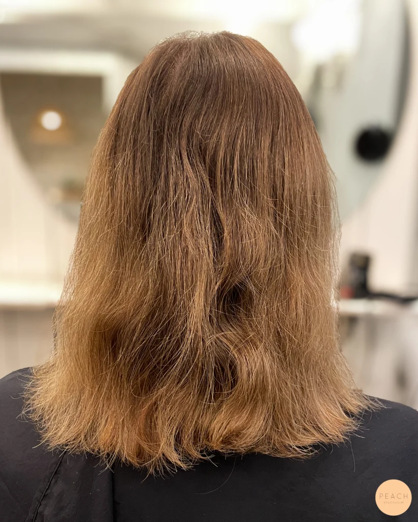 Teddy bear bronde hair