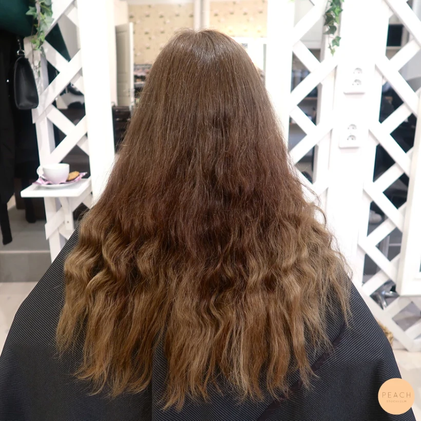 Brun hårfärg nyanser med fina babylights