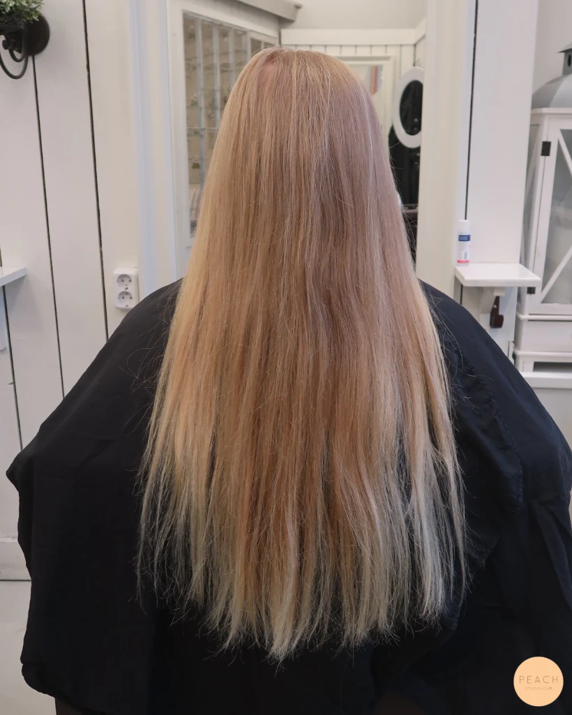 Lob frisyr och Olaplex