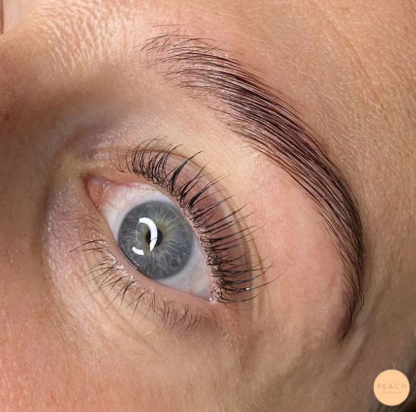Yumi lash lift och browlift