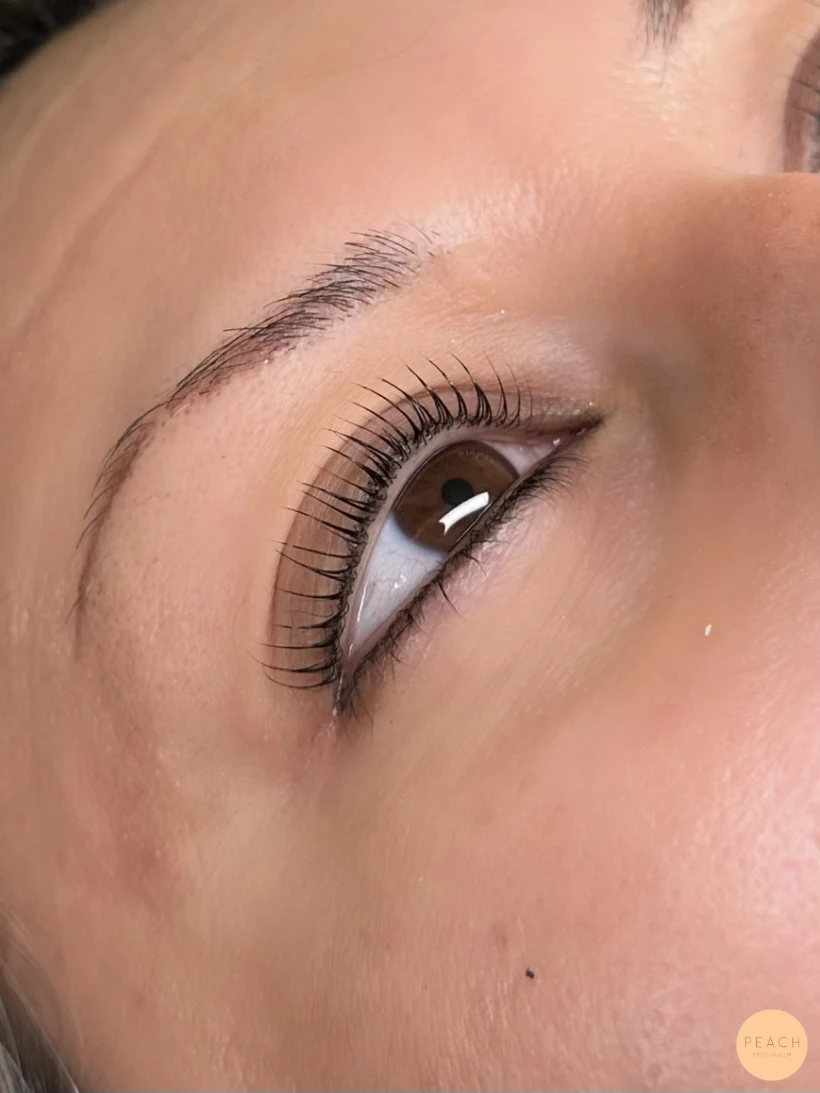 Lash lift naturligt svepande fransar