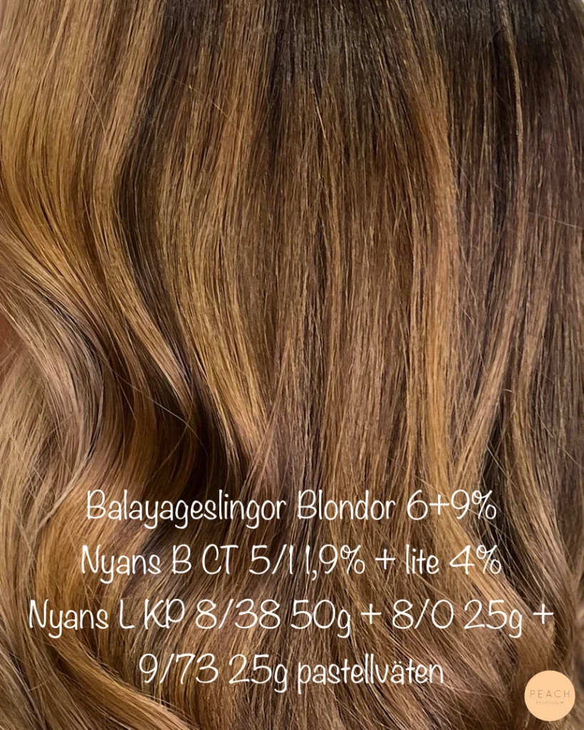 Balayage på mörkt hår – salongsresultat av Hanna Ekstrand, 20 december 2023