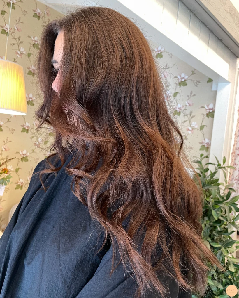 Chocolate brown hair