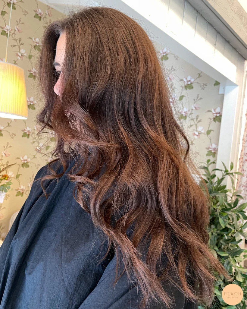 Chocolate brown hair