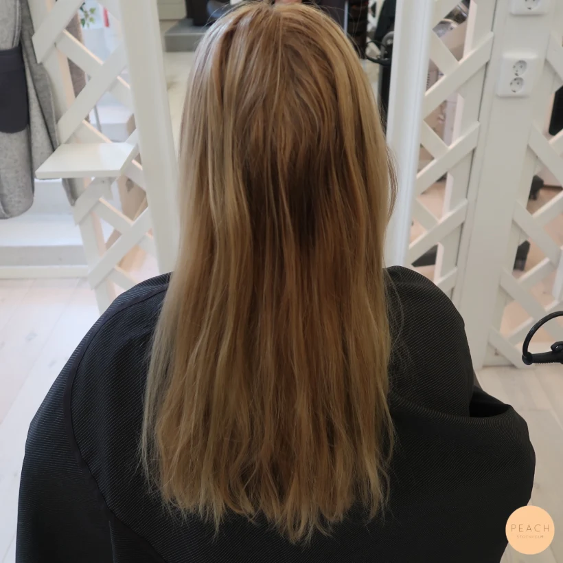 Från mörk hemmafärg till lyxig blond
