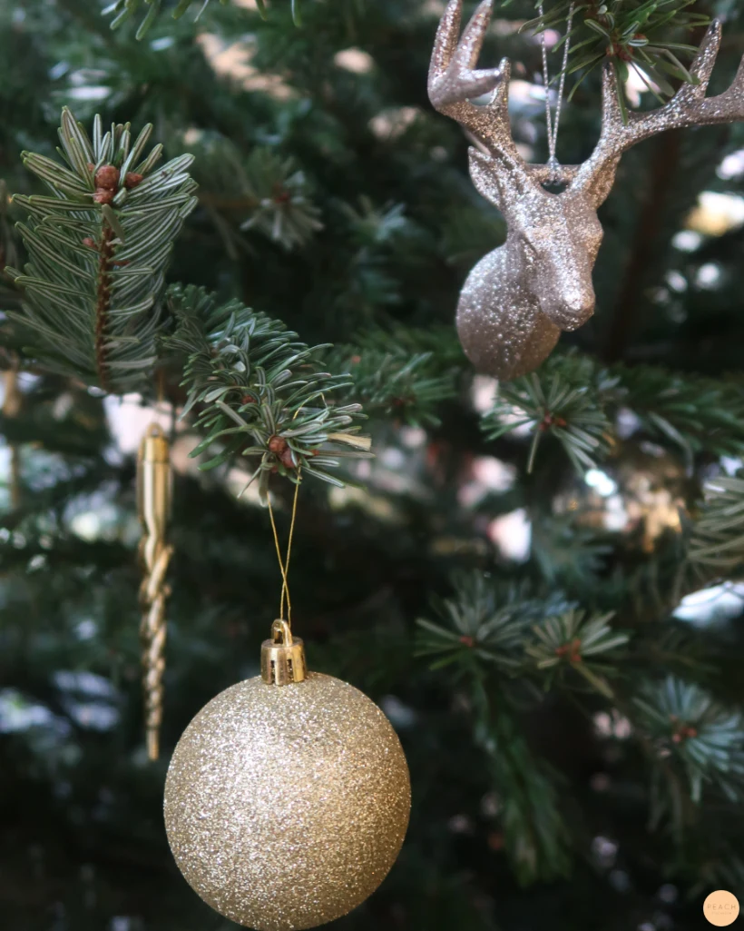 🎄 Öppettider i Jul 🎄