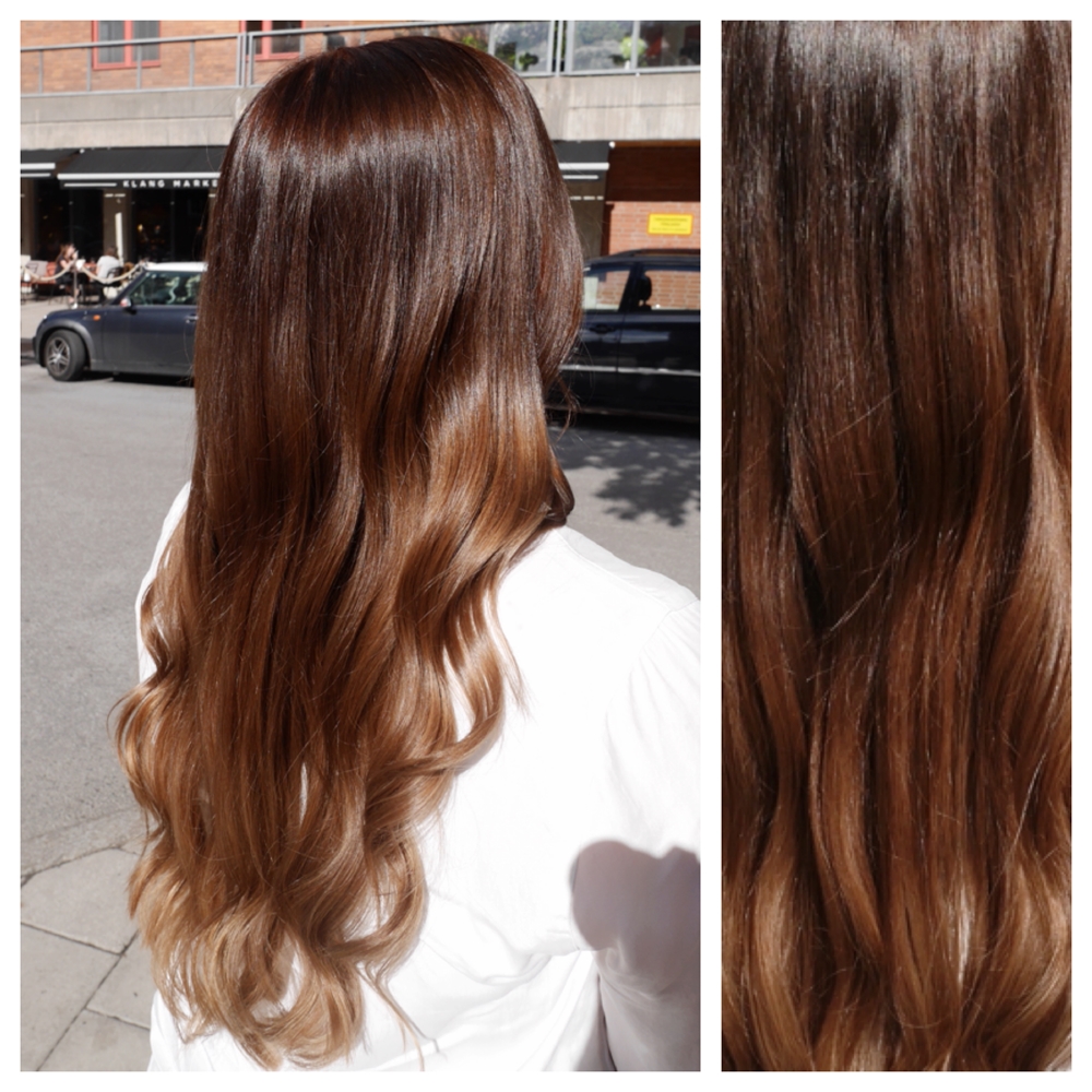 Bronde sombre med chokladbrun botten