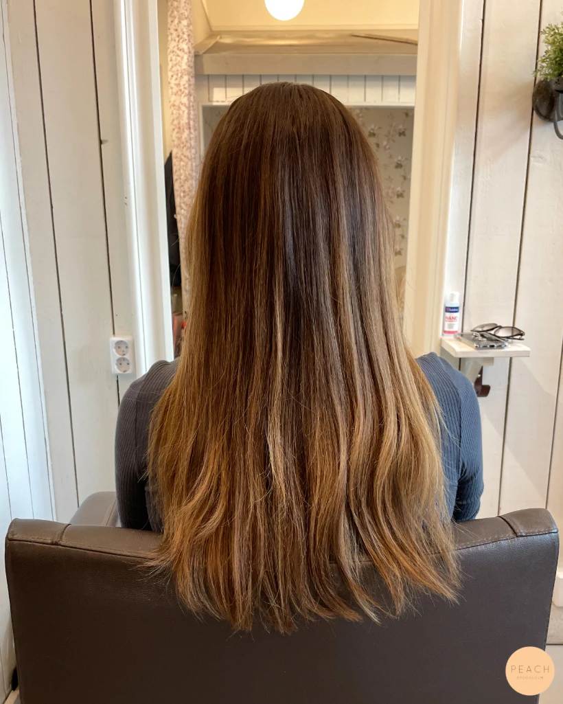Bronde balayage ljusa slingor i mörkt hår