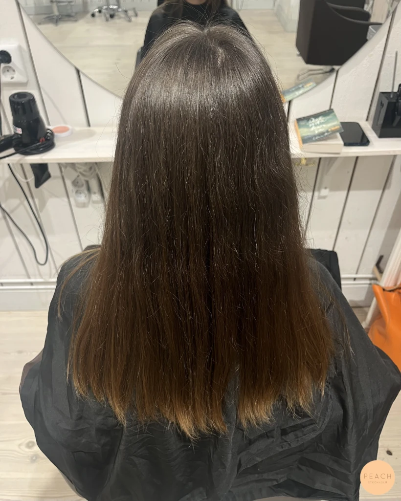 Chocolate brown hair 🤎