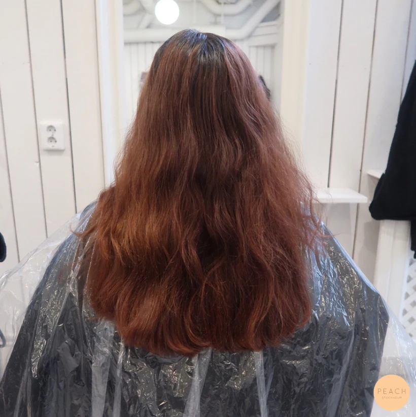 Koppar hårfärg – salongsresultat av Daniella Holmberg, 4 oktober 2019
