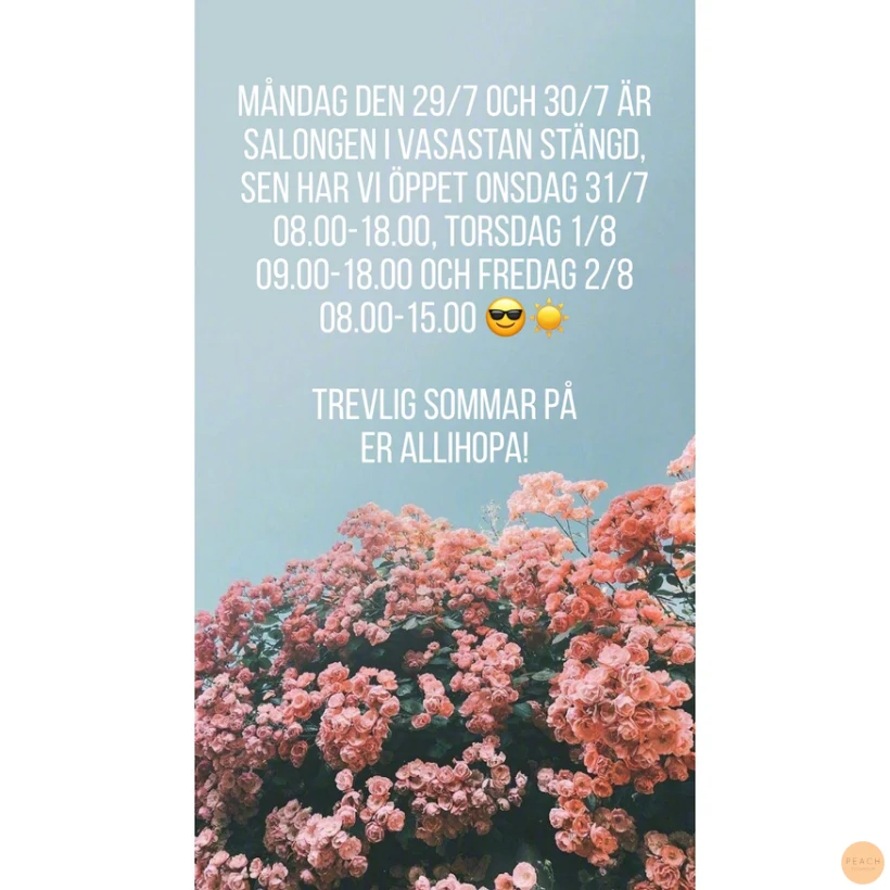 Öppettider Peach Stockholm Vasastan