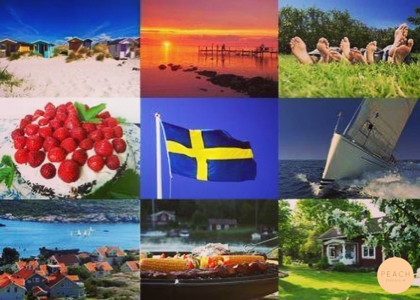 Sveriges nationaldag 🇸🇪💐