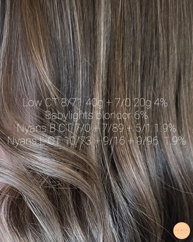 Från blond till bronde med mjuka lowlights