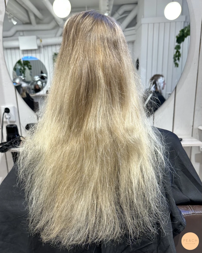 Coppar peach hair trend