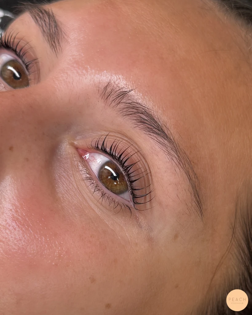 YUMI LASHLIFT YUMILASHES