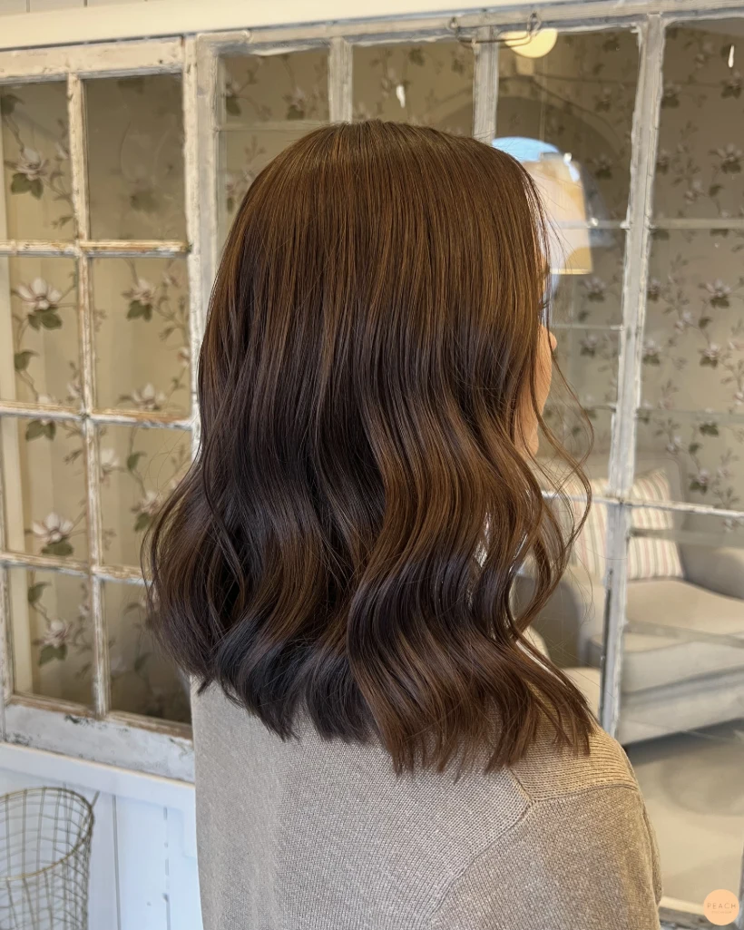 Brown hair with highlights