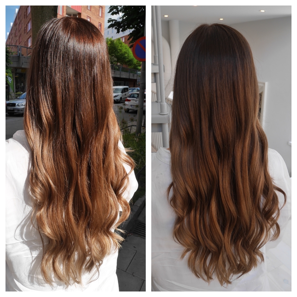 Bronde sombre med chokladbrun botten