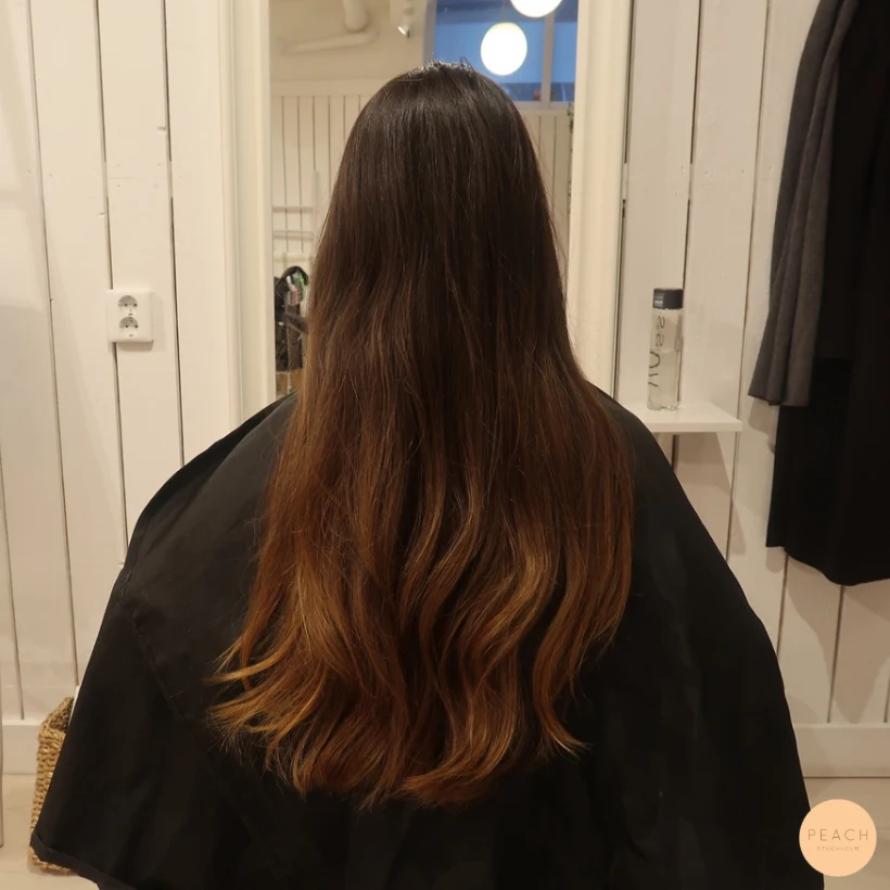 Från mörkt till blont hår