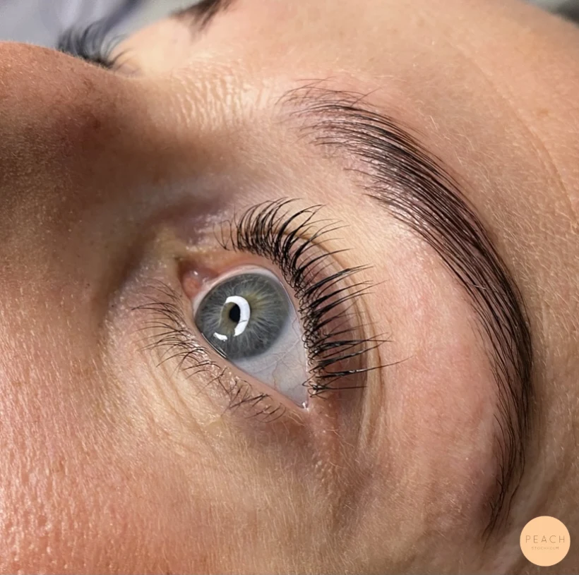 Yumi lash lift och browlift