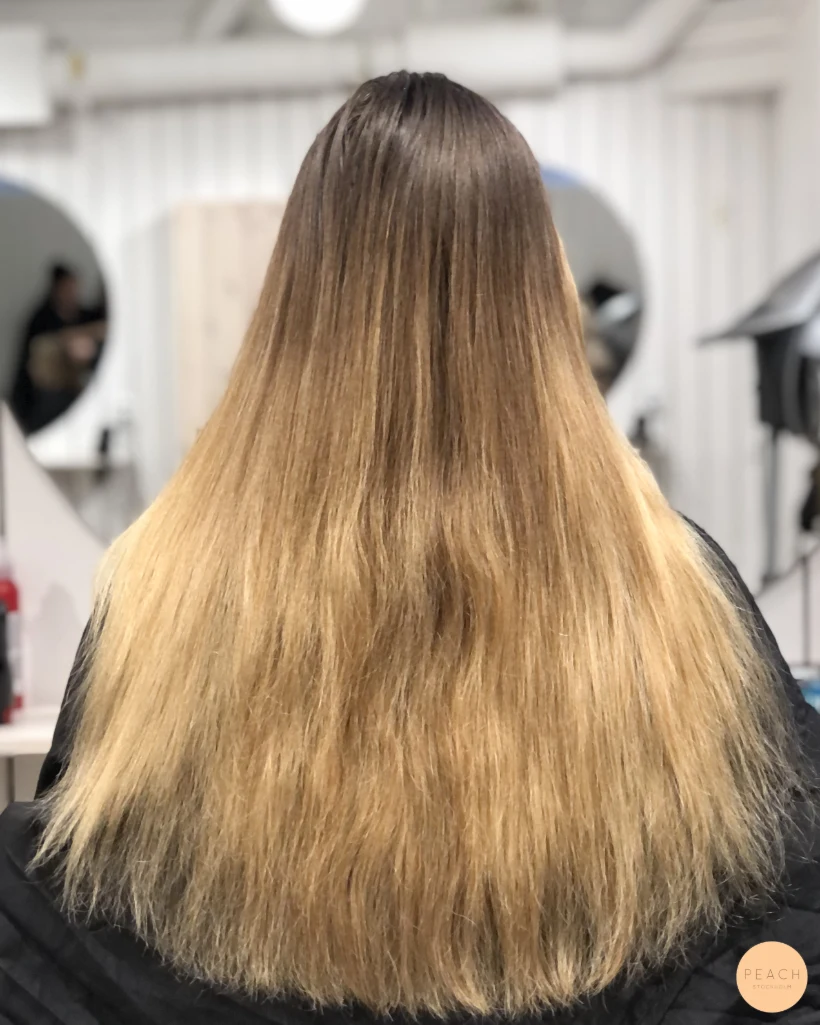 Vinter Bronde