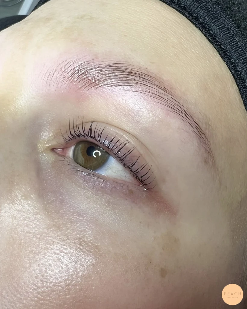 Yumi lashes & browlift