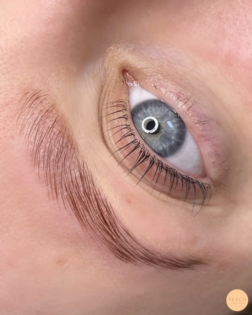 Yumi lashlift och browlift – salongsresultat av Amanda Da Silva, 15 mars 2022