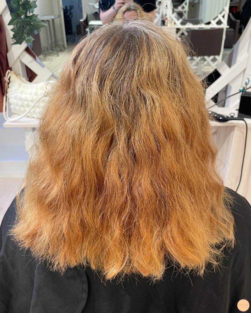 Höst Bronde