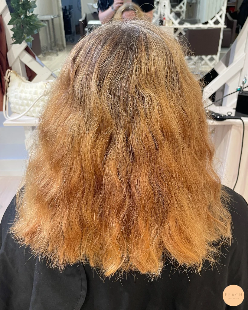 Höst Bronde