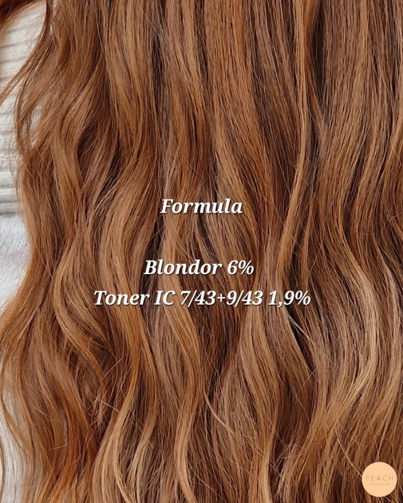 Copper dream hair 🧡🤎