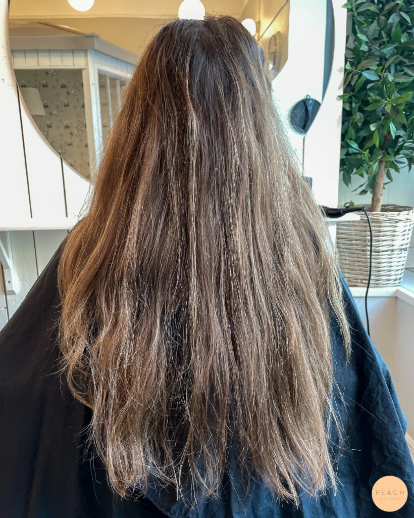 Honungsblond hårfärg 🌼🐝