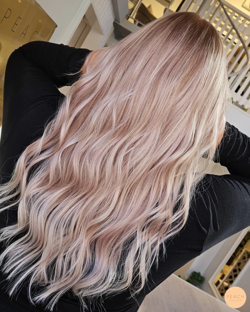 Rose golden hour crush