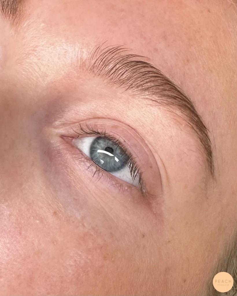 Lashlift stockholm östermalm – inspiration 27 augusti 2024
