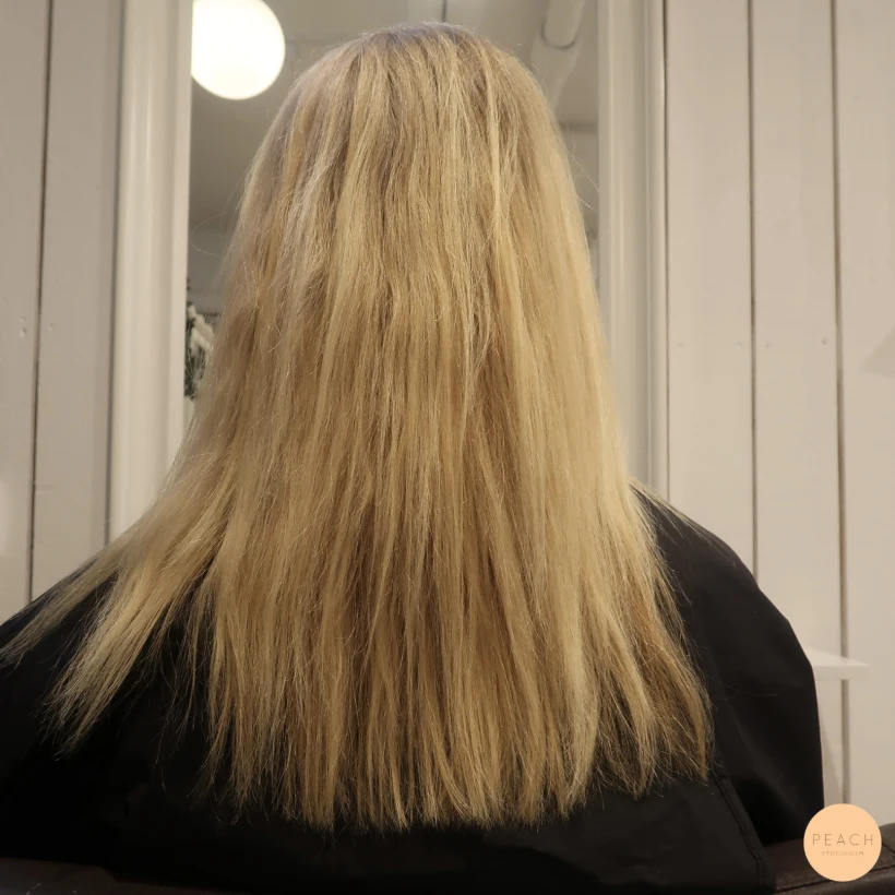 Varm blond balayage med highlights och lowlights
