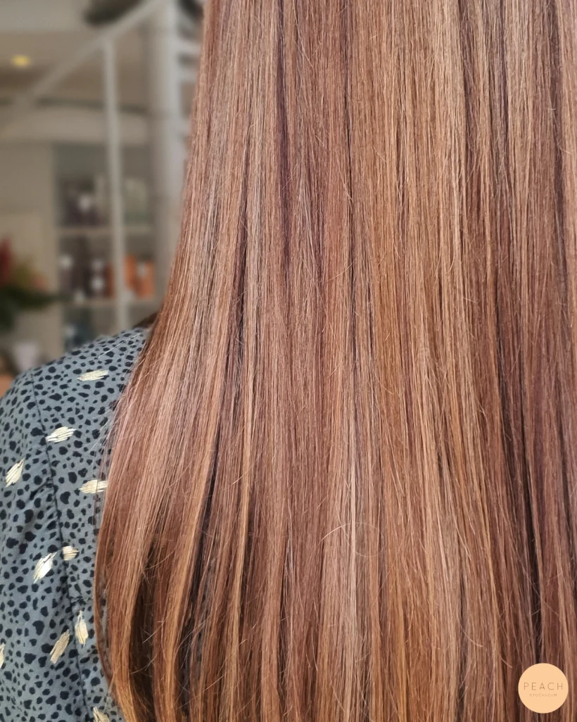 Caramel brownie hair crush