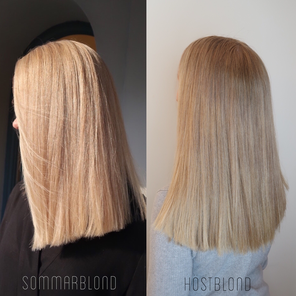 Blond hårfärg året om - Från helljus till sombre