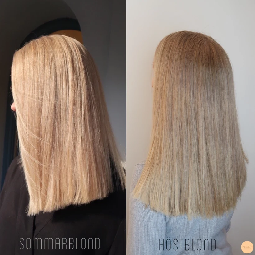 Blond hårfärg året om - Från helljus till sombre