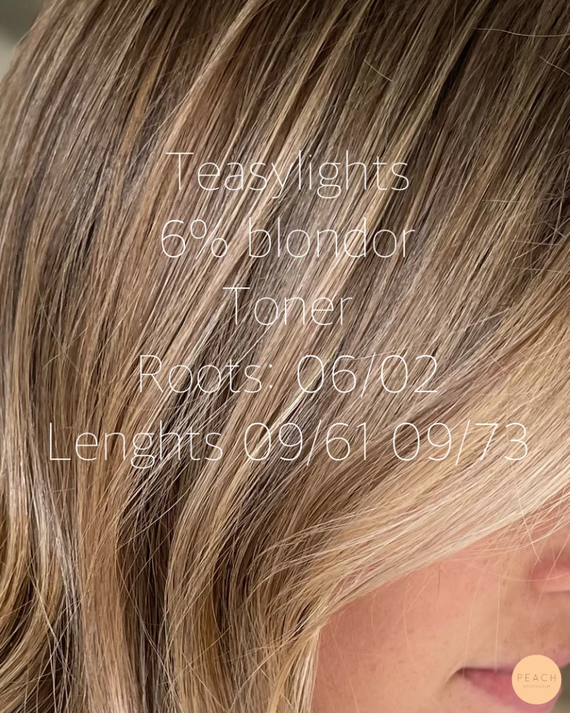 Mjuk bronde balayage med tunna slingor