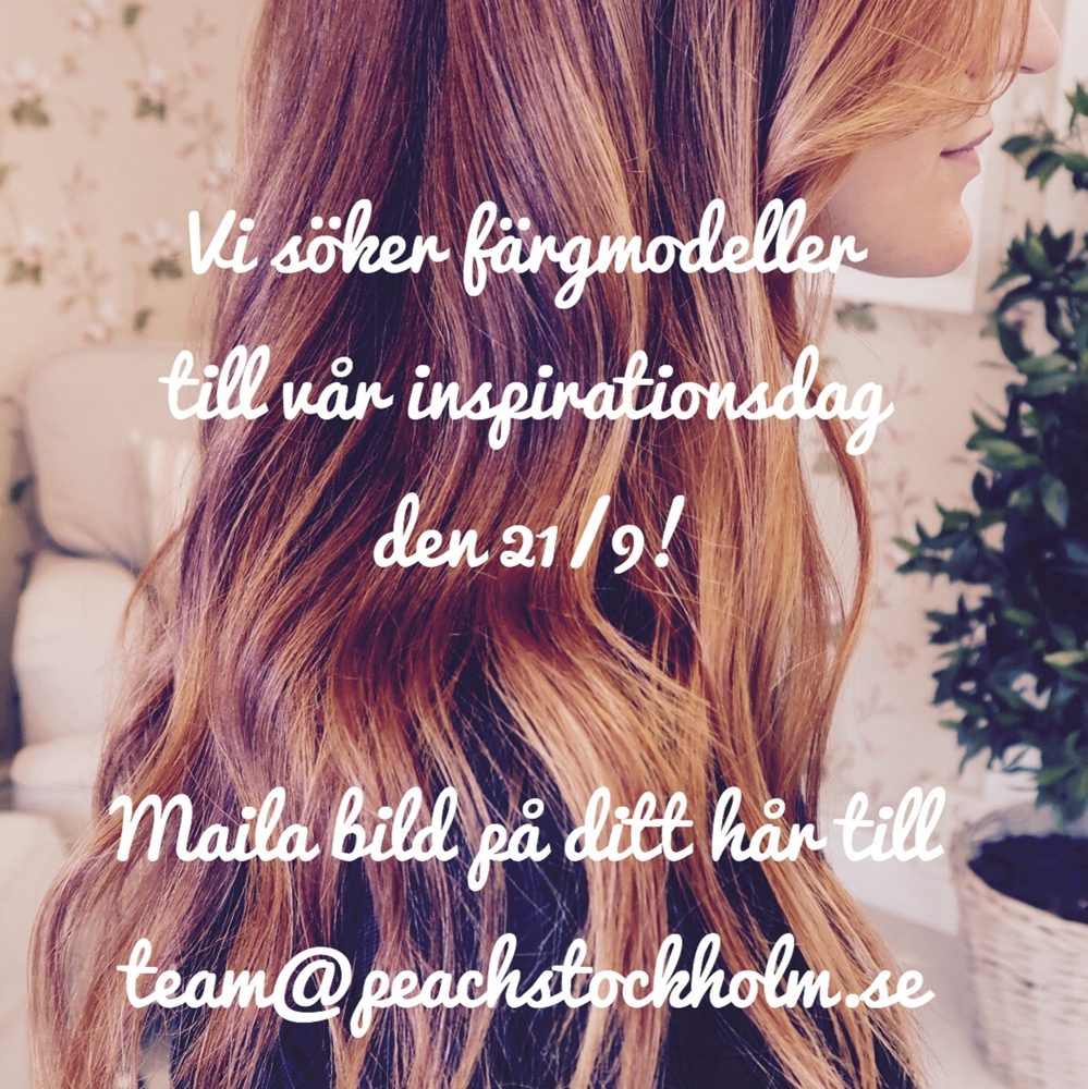 Färgmodell sökes!