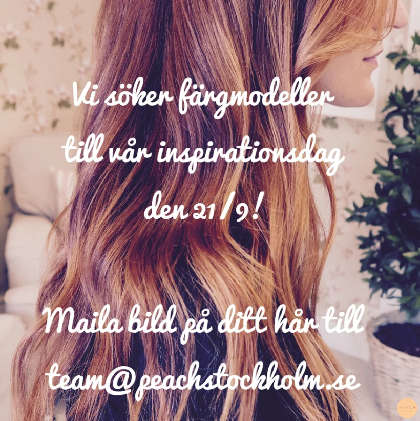 Färgmodell sökes!