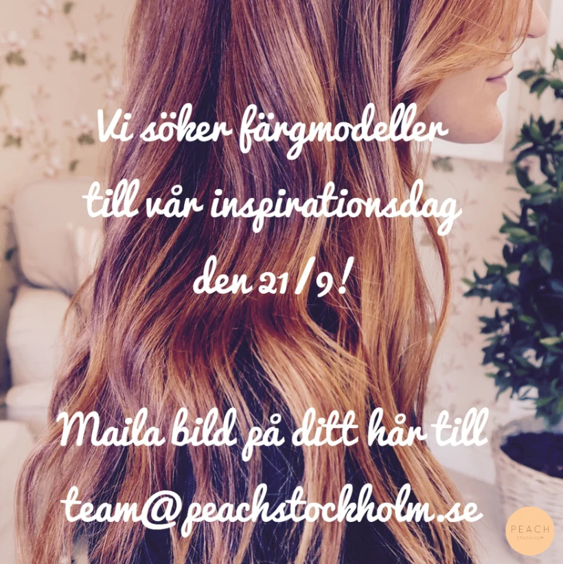 Färgmodell sökes!