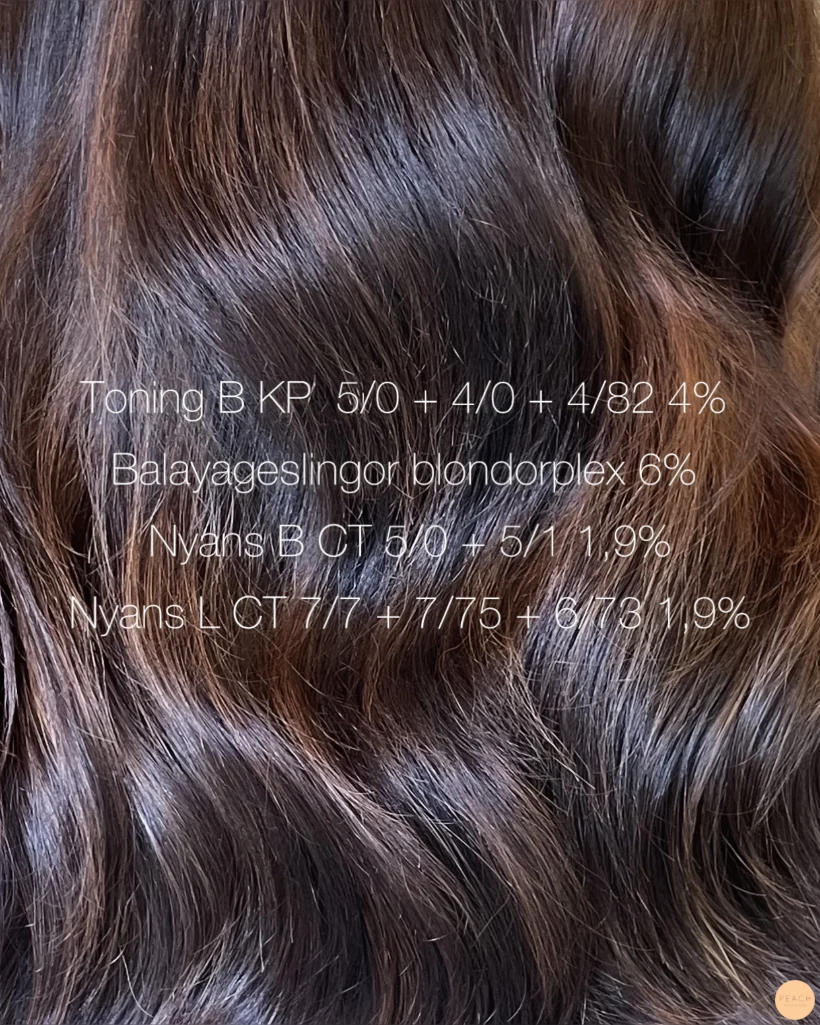 Chocolate highlights hair ✨🍫