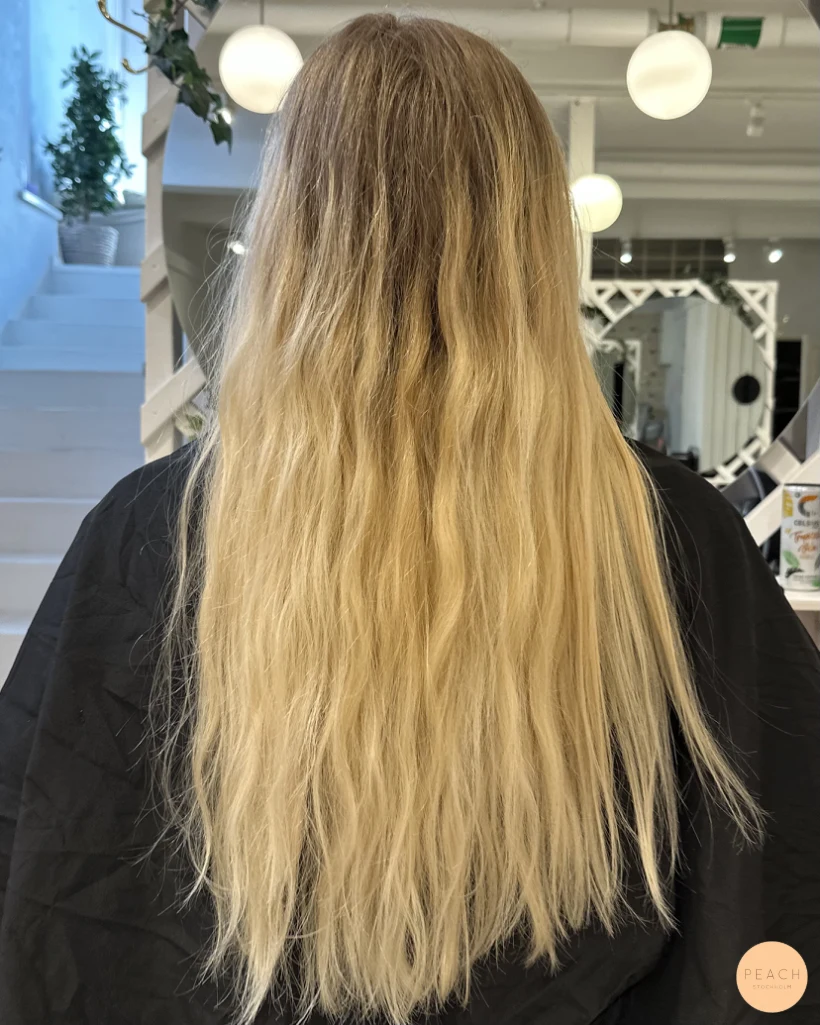 Stor färgförändring & klippning
