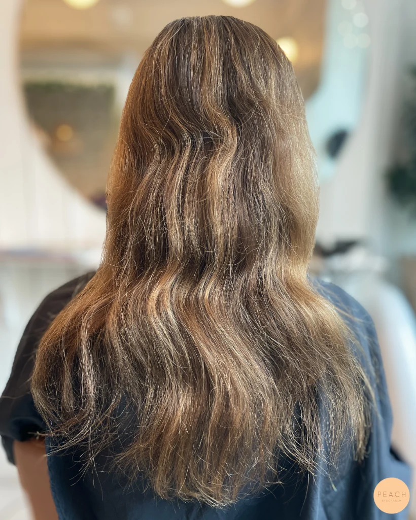 🐻Teddy bear beige hair✨