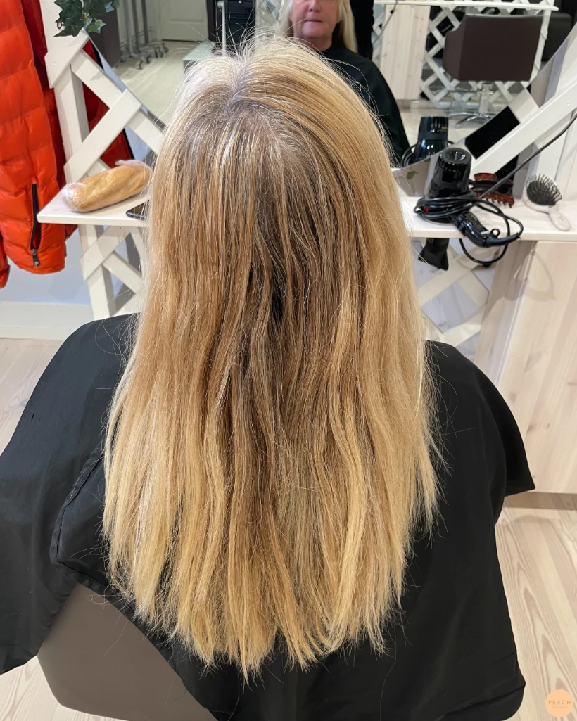 Höst Blond